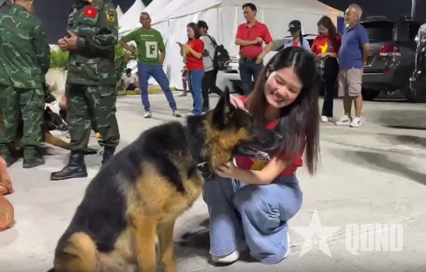 Đội quân khuyển của đoàn Việt Nam tham gia cứu hộ động đất tại Venezuela: “Ngọn hải đăng của hy vọng”
